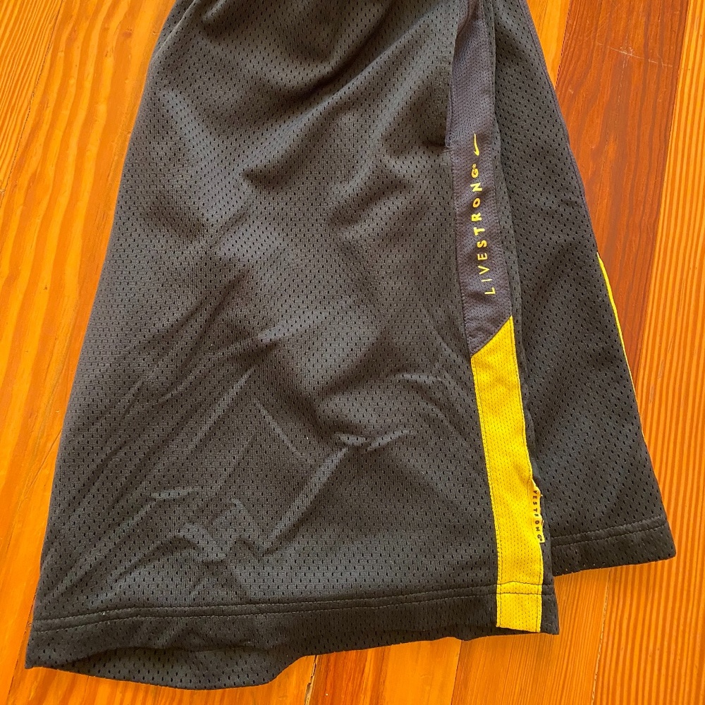Nike Dri-FIT Shorts